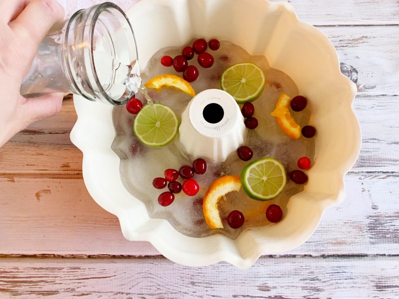 Party Perfect NonAlcoholic Holiday Punch (With Festive Ice Ring)