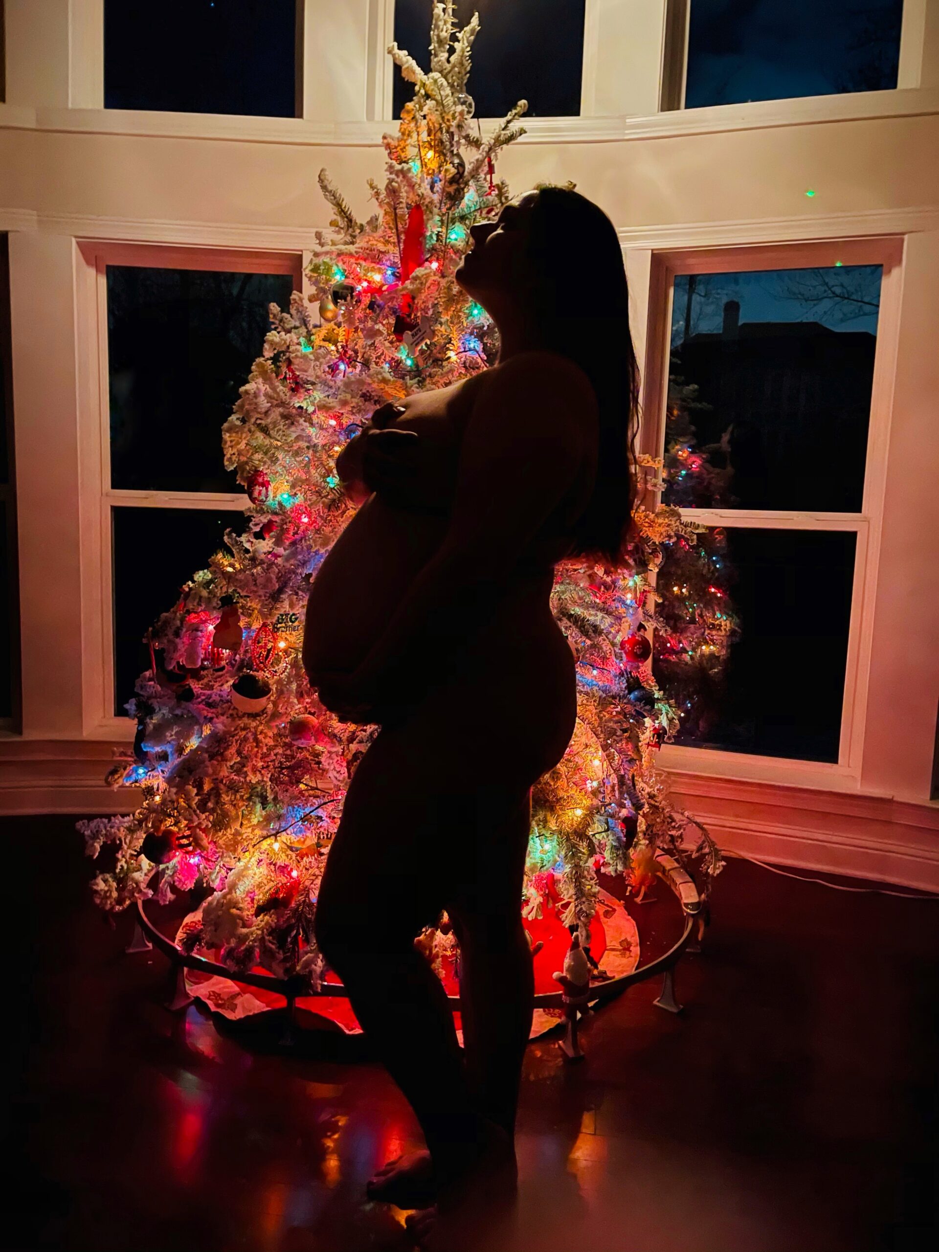 https://www.savvymamalifestyle.com/wp-content/uploads/2020/12/Christmas-Tree-Pregnancy-Silhouette-scaled.jpg?utm_source=chatgpt.com