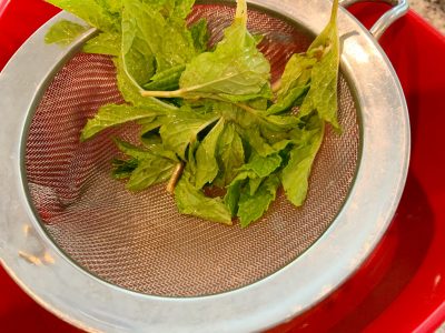 Straining mixture to remove mint leaves