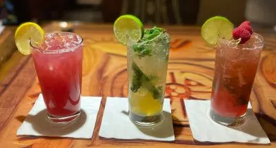 Sanaa Disney World Cocktails