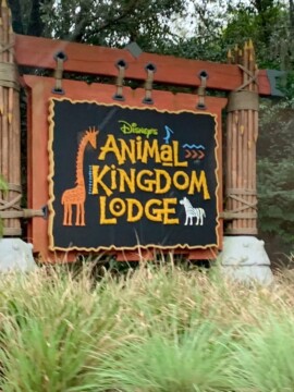 Resort Review of Animal Kingdom Lodge at Walt Disney World