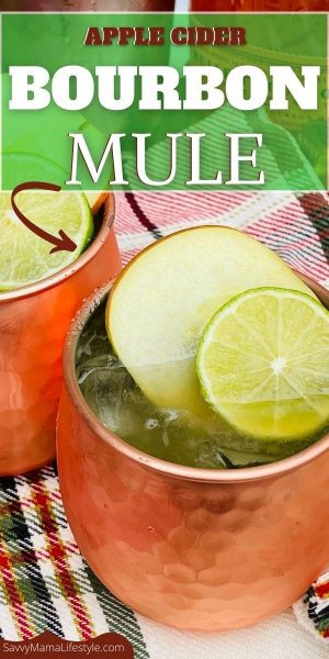 For a refreshing take on a classic mule, try this Bourbon Apple Cider Mule for fall. #MuleCocktail #BourbonCocktail