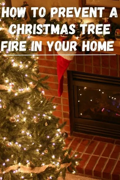 How to prevent a Christmas tree fire from occurring in your home. 