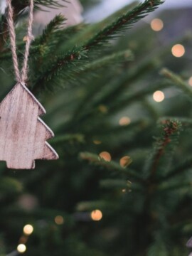 How To Water a Christmas Tree To Keep It Fresh