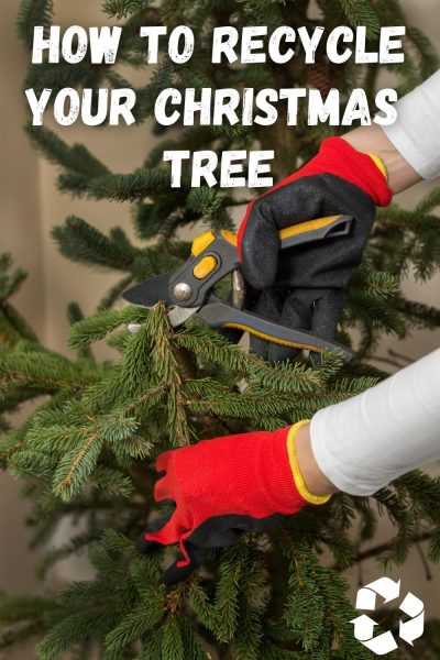 Easy ways to recycle a Christmas tree after the holiday season to reuse around your home.