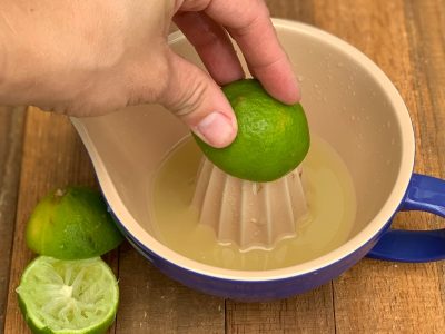 Tabletop Juicer for Limes