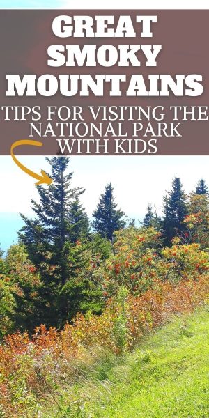 Tips for visiting the Great Smoky Mountains National Park with kids.