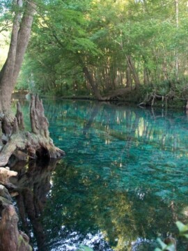 Florida natural spring with clear water