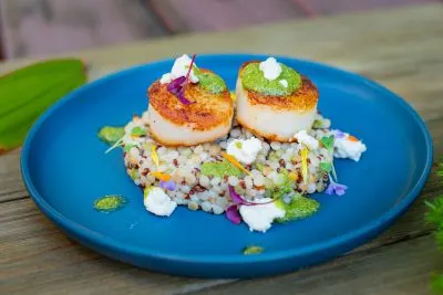 SeaWorld Orlando Festival Events