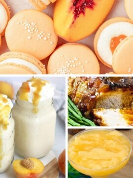 Peach Puree Recipes For Dinner, Breakfast, Lunch and Drinks
