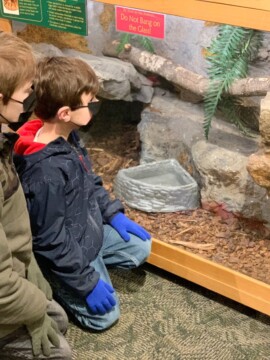 Sandy Creek Nature Center With Kids