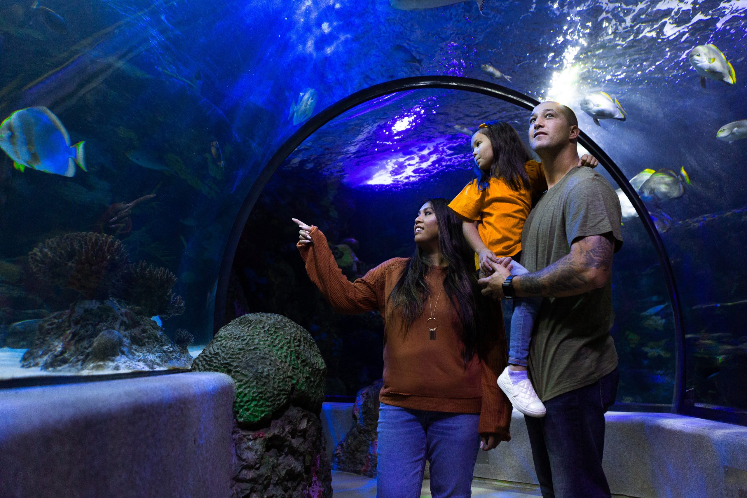 Virginia Aquarium Special Encounters