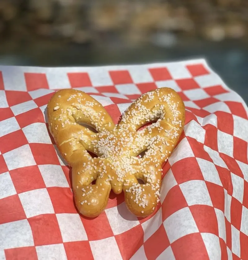 Dollywood Splash Country Snack Options