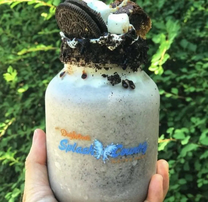 Dollywood Splash Country Ice Cream Snack