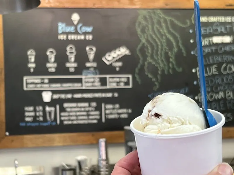 Blue Cow Ice Cream in Roanoke Virginia