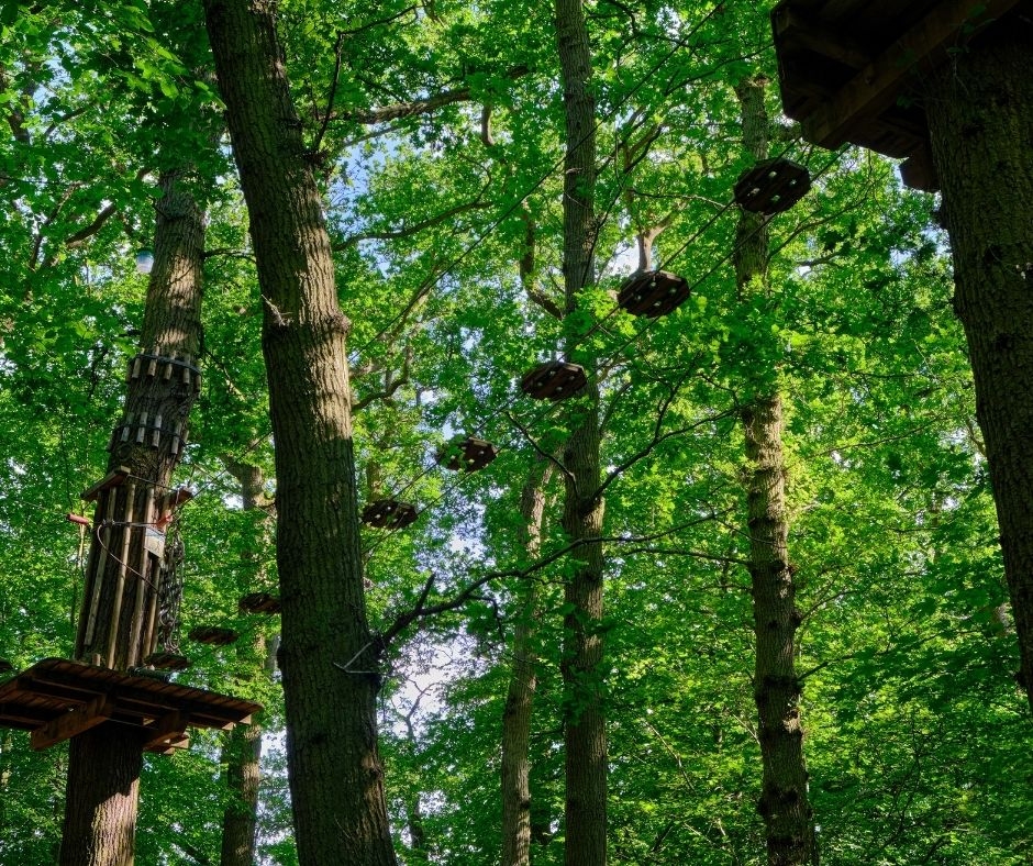 11 Things To Do In Roanoke Virginia That Kids Will Love