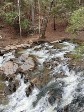 things to do in Ellijay, Georgia that kids will love