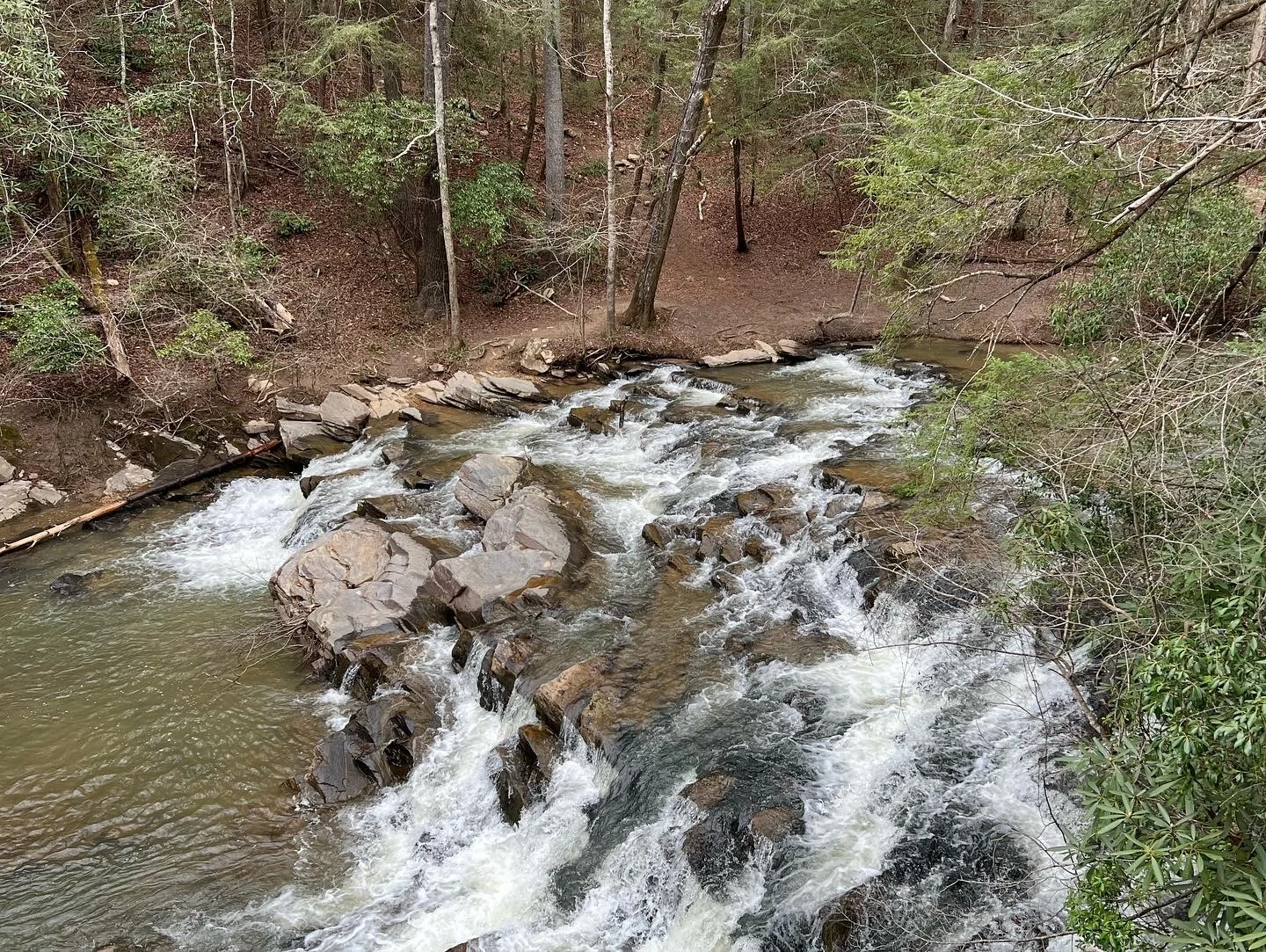 things to do in Ellijay, Georgia that kids will love