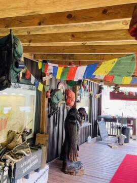Georgia's Bigfoot Museum in Blue Ridge