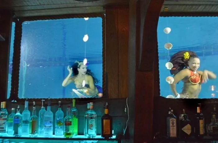 B Ocean Resort Mermaid Show