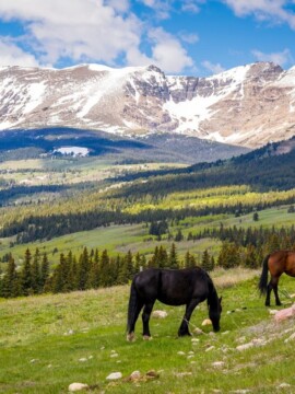 Tips for visiting U.S. national parks with kids