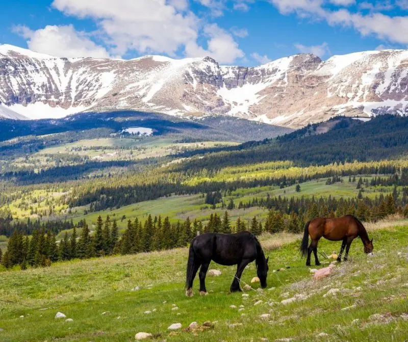 Time of year to visit