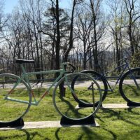 Mill Mountain Park With Kids