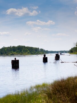 Great Bridge Lock Park in Chesapeake