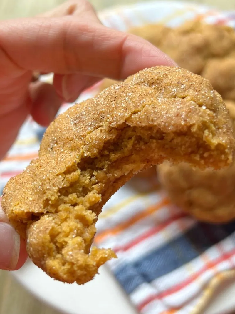 Pumpkin Snickerdoodle Cookie Bite