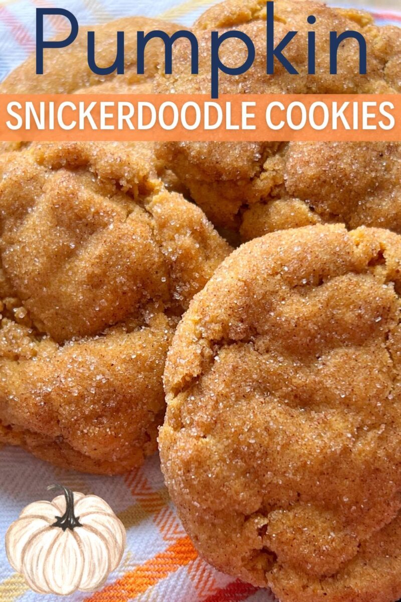 Soft and chewy, these Pumpkin Snickerdoodle Cookies are irresistible for fall.