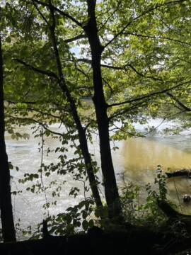 Chattahoochee River National Recreational Park With Kids