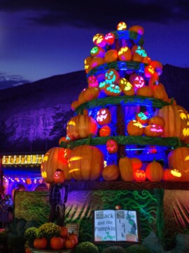 Stone Mountain Park Glowing Pumpkins