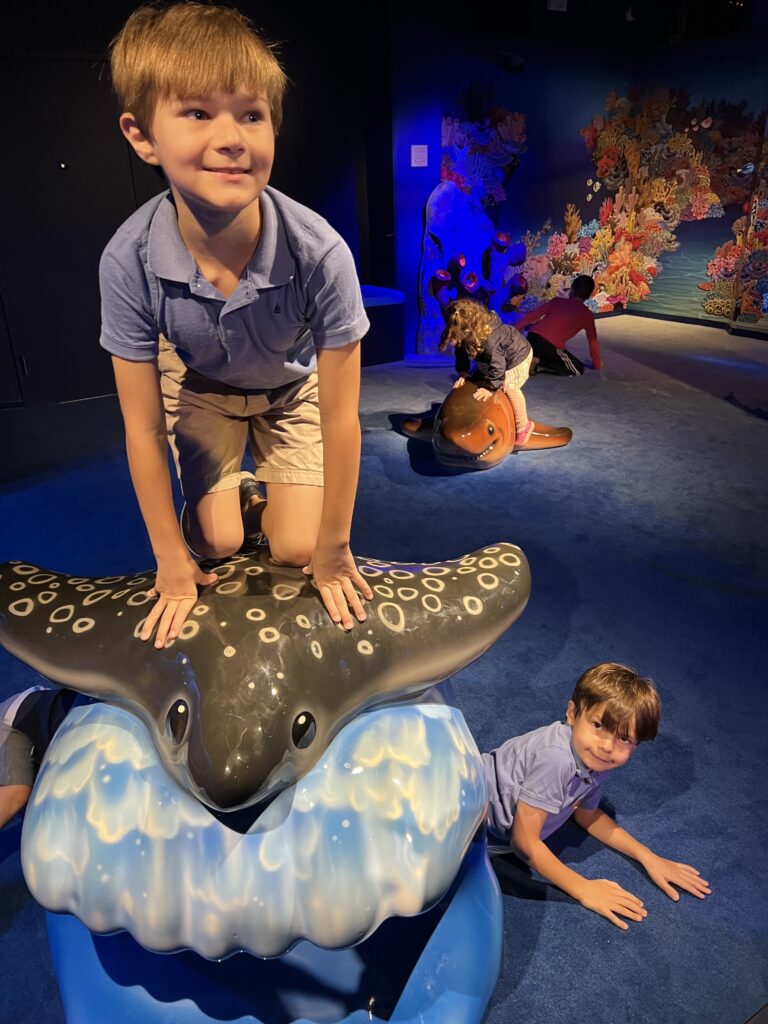 Family Guide To North Carolina Aquarium At Pine Knoll Shores