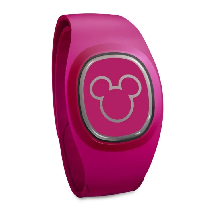 Image for MagicBand+