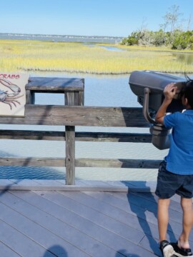 Guide to North Carolina Aquarium at Pine Knoll Shores