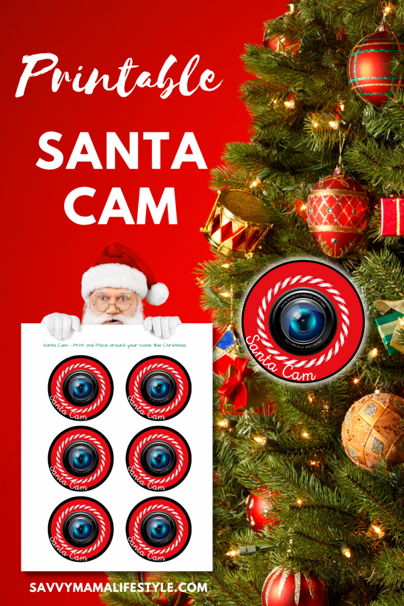 Download your free printable Santa Cam PDF - so kids will be on their best behavior throughout the holiday season. 