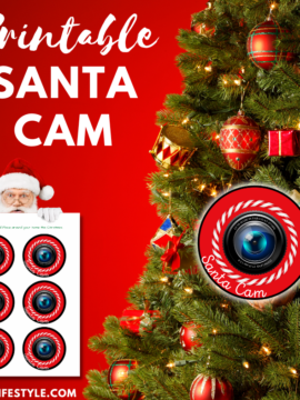 Free Santa Cam Printable PDF