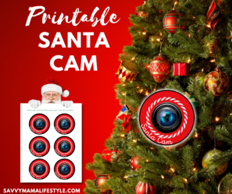 FREE Santa Cam Printable PDF