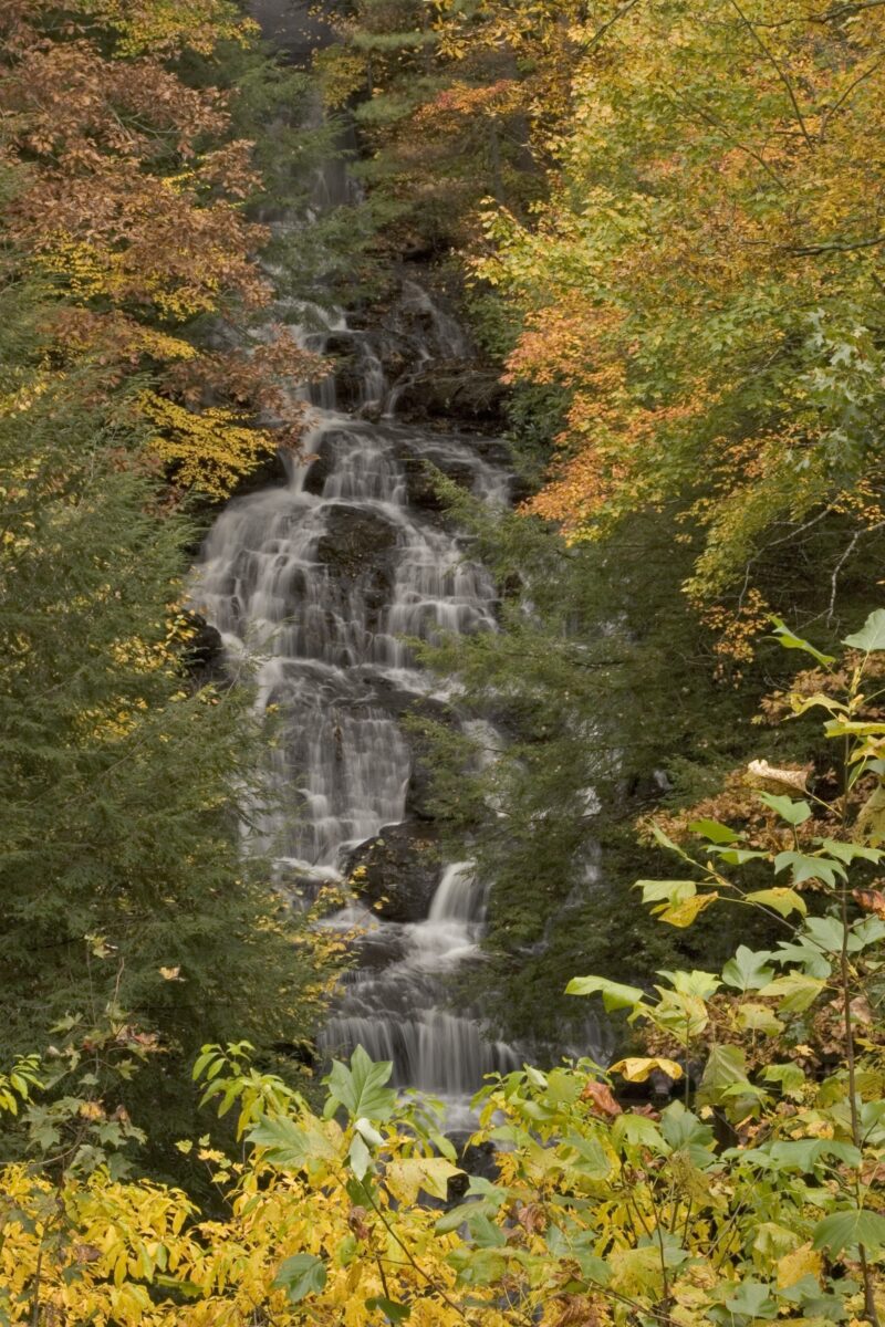 Vogel State Park Waterfall