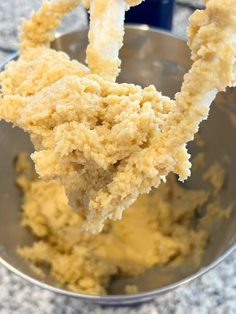 Creamed Butter and Sugars in Stand Mixer
