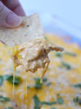 Chicken Enchilada Dip Recipe