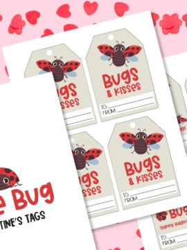 FREE Printable Love Bug Valentines PDF