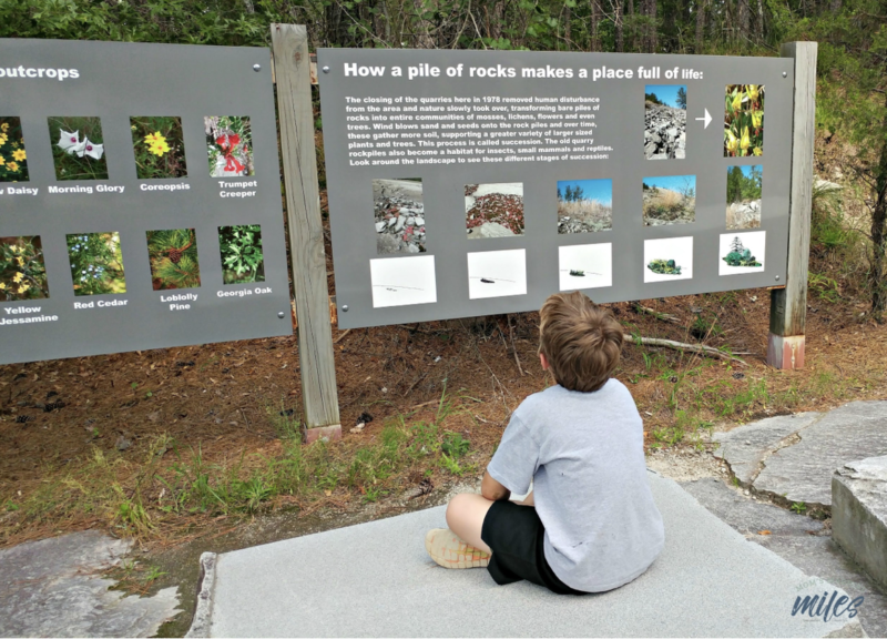 learning about geology at the Stone Mountain Rock Quarry Exhibit
