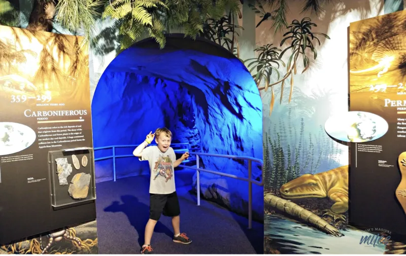 wildlife exhibit at confederate hall