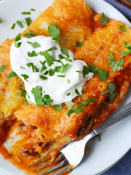 Shredded Beef Enchiladas Recipe