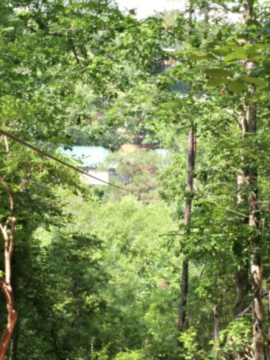 Family Guide To Historic Banning Mills Zip Line