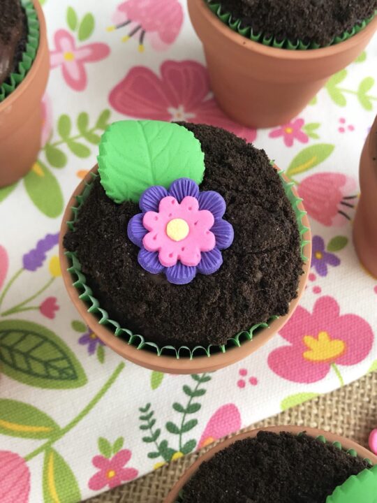 Chocolate Flower Pot Cupcakes