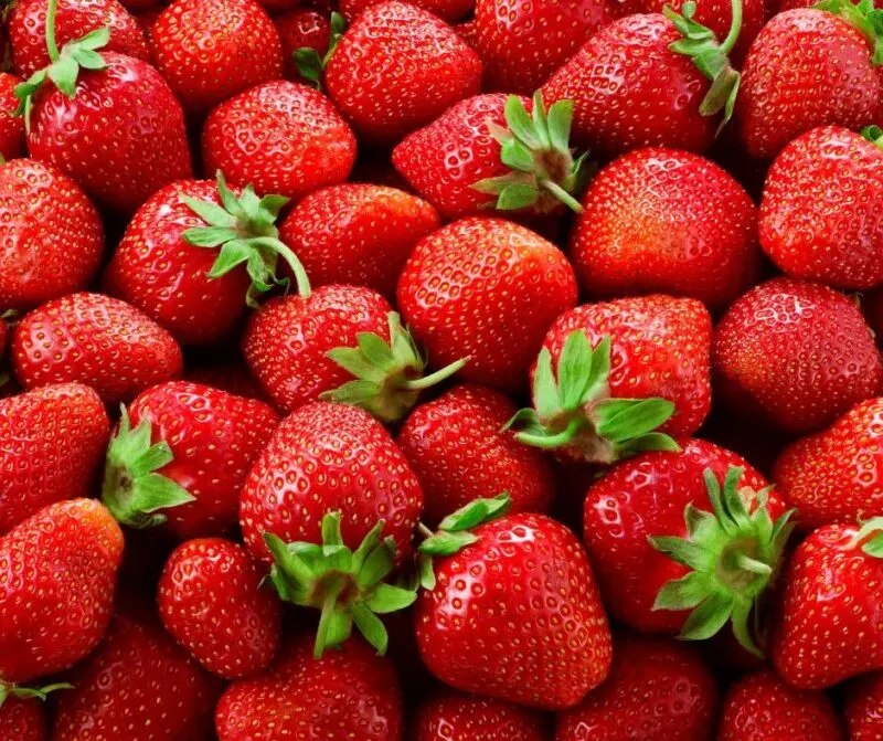 Fresh in season ripe strawberries.
