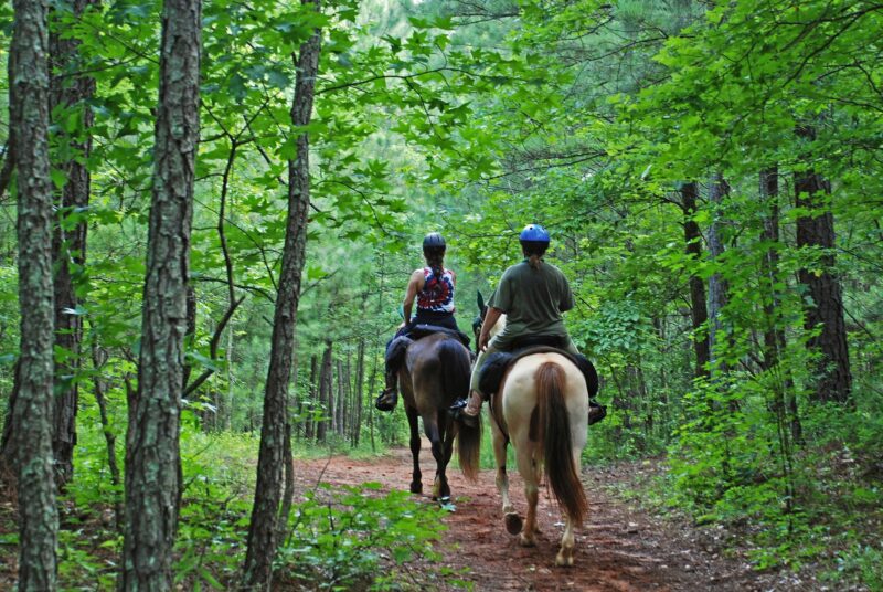 Equestrian Trails at Hard Labor Creek State Park
