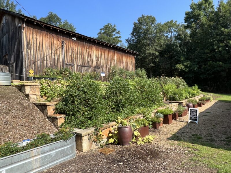 Columbus Botanical Gardens